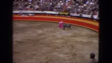 Acapulco Mexico (1962): The Cow Is Very Anger With Another Person's