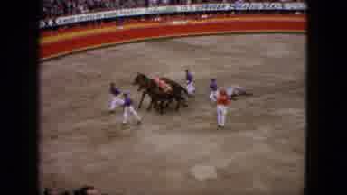Acapulco Mexico (1962): They Get Rid Of The Dead Bison In The Stadium