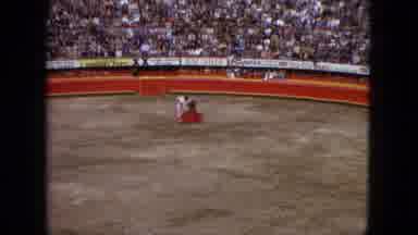 Acapulco Mexico (1962): The Cow Is Very Anger With Another Person's