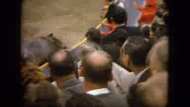 Acapulco Mexico (1962): Bull Fighting A Tied Up Horse In Arena
