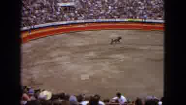 Acapulco Mexico (1962): Yaks Are Free Roaming On The Ground