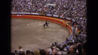Acapulco Mexico (1962): An Arena Of Onlookers Watch A Man Ride An Animal