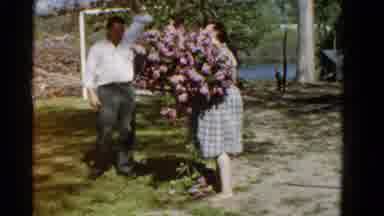 Wauconda Illinois USA-1961: Woman in Plaid Dress Holding Lilac Bouquet with Man Helping