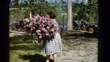 Wauconda Illinois USA (1961): Vintage Woman Large Pink Flower Bouquet Gingham