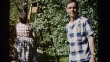 Wauconda Illinois USA (1961): Woman Wearing Blue Skirt Picks Objects From Tree