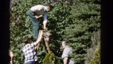 Wauconda Illinois USA (1961): A Person Pluck The Flowers In The Tree His Friends