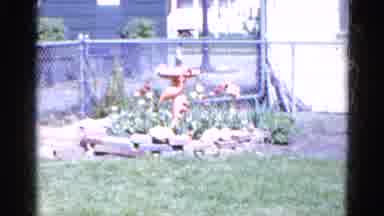 Wauconda Illinois USA (1961): View Of External Area With Very Well Maintained