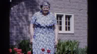 Wauconda Illinois USA (1961): Old Lady In A Blue Dress Holds Onto Dog Leash