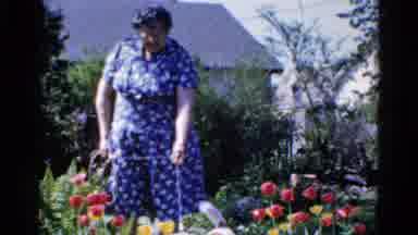 Wauconda Illinois USA (1961): The Lady Was Go For A Walk With Her Dog Near The