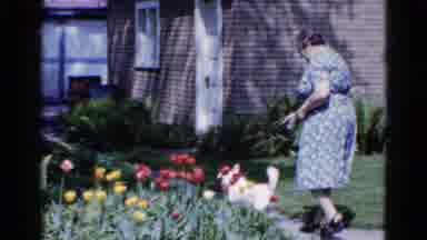 Wauconda Illinois USA (1961): A Woman Is Walking In The Garden With Her Dog