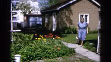 Wauconda Illinois USA (1961): Woman And Dog Walk Through Suburban Yard By Brick