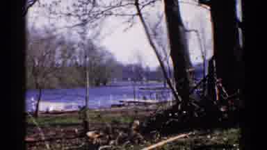 Wauconda Illinois USA (1961): The Cutest Duck Was Walking In The Garden To See A