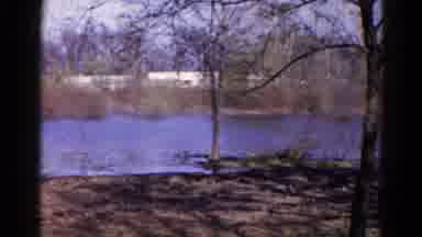 Wauconda Illinois USA (1961): There Are Lots Of Trees Are There Near The Water But