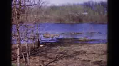 Wauconda Illinois USA (1961): River With Of Trees On The Shore On A Sunny Day