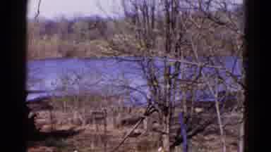 Wauconda Illinois USA (1961): Cold Autumn Trees Without Leaves Next To Water