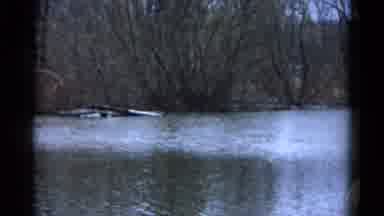 Wauconda Illinois USA (1961): It Is Full Of Water And Forest Area It Is