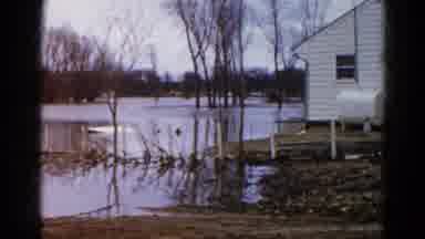 Wauconda Illinois USA (1961): There Is A Home Next To A Swampy Looking Area