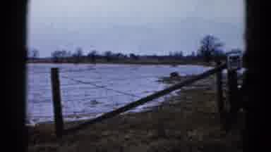 Wauconda Illinois USA (1961): Man Cooking His Feet