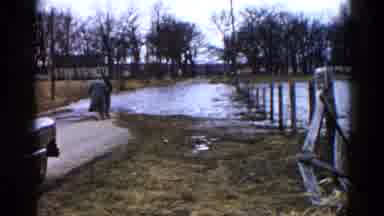 Wauconda Illinois USA (1961): A Person Is Slowly Moving Towards The Stagnant Water