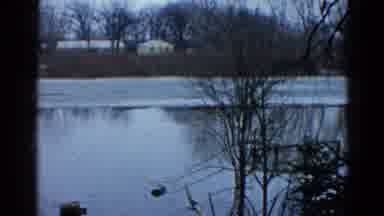 Wauconda Illinois USA (1961): The Forest Surrounding The Pond Is Beautiful