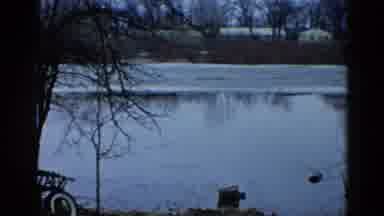 Wauconda Illinois USA (1961): Big Lake In The Middle Of A Forest In The Winter