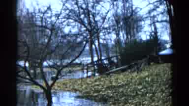 Wauconda Illinois USA (1961): View Of Swampy Area Very Well Maintained With