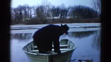 Wauconda Illinois USA (1961): The Person Is Doing In The Boat Something