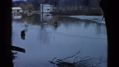 WAUCONDA ILLINOIS USA-1961: A Flooded Neighborhood With Submerged Houses And Trees