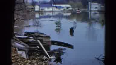 Wauconda Illinois USA (1961): Wood Panoramic Shot Near Wood Pile