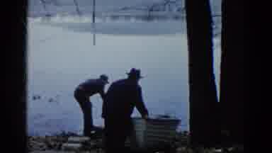 Wauconda Illinois USA (1961): The Two Men Are Thrown Into The Water From The Shore