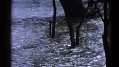 Wauconda Illinois USA (1961): Water Moving Fast And Deep Flooding Surrounding Land