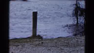 Wauconda Illinois USA (1961): Car Is Shown At A Water Body With A Pipe Measuring
