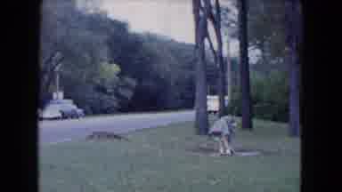 South Carolina USA (1961): The Girl Sees Something In The Child's Cub And Her