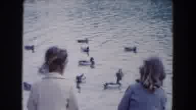South Carolina USA (1961): So Many Ducks Are Roaming On The Water And The Girls