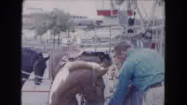 South Carolina USA (1961): Man Helping A Young Girl Into The Saddle On A Brown And