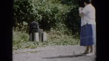 South Carolina USA (1961): Bear Caught In The Trash Can