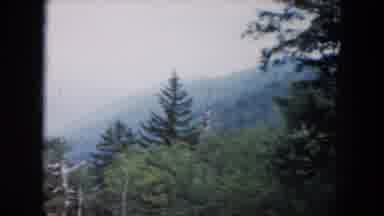 South Carolina USA (1961): This Place Look Like Very Beautiful And The Lady Posing