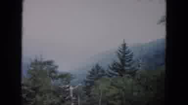 South Carolina USA (1961): It Is The Beautiful Place Look Like A Very Nature Place