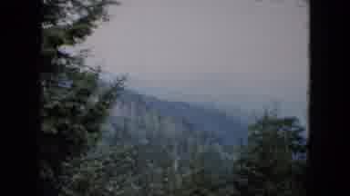 South Carolina USA (1961): Panoramic View Of The Valley With Untouched Nature Very