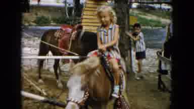 South Carolina USA (1961): Ponies One After Another Walking In A Circle Being