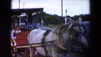 South Carolina USA (1961): Family Taking A Horse Drawn Carriage Ride