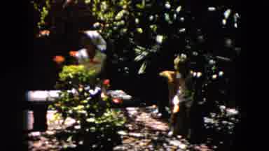 South Carolina USA (1961): People That Are In The Dark Being Part Of The Wildlife