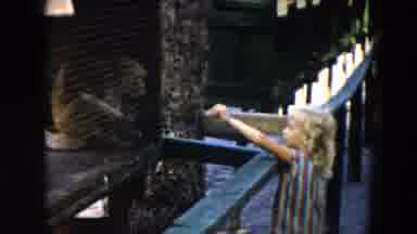 South Carolina USA (1961): Feeding Monkeys At The Zoo