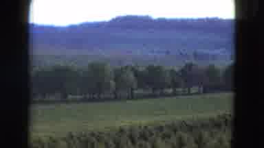 Nevada USA (1961): It Is The Beautiful Place Look Like A Very Nature Place