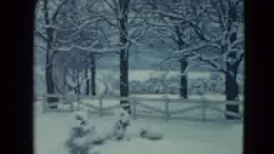 Jamestown Wisconsin USA (1961): The Trees And Lands Are Totally Covered With Snow