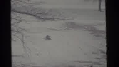 Camden New Jersey USA (1961): That Boy Is Sliding Down A Snowy Hill And He Very