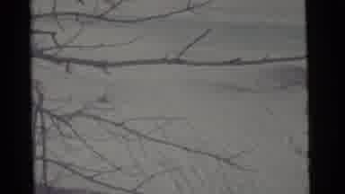 Camden New Jersey USA (1961): People Go Snowmobiling On A Snow Covered Hill In The