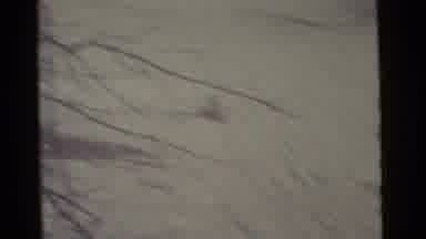 Camden New Jersey USA (1961): Person Dressed In White Sledding Downhill On A