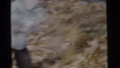Camden New Jersey USA (1961): The Childrens Were Cleaning The Place Because The