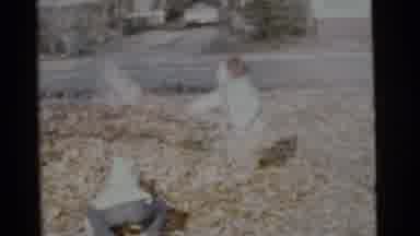Camden New Jersey USA (1961): The Children Are Playing In The Garden Very Happily